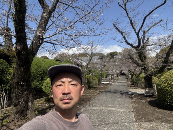 コラボ企画】きのう27(金)。オープンカーで沼津の桜最前線…勝手に巡っ