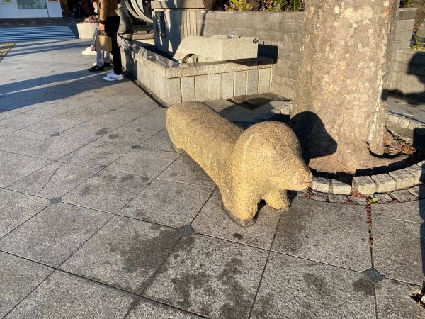 そこぬけずんどこ 浜松ホトニクス(6965)】株価予想 - YouTube