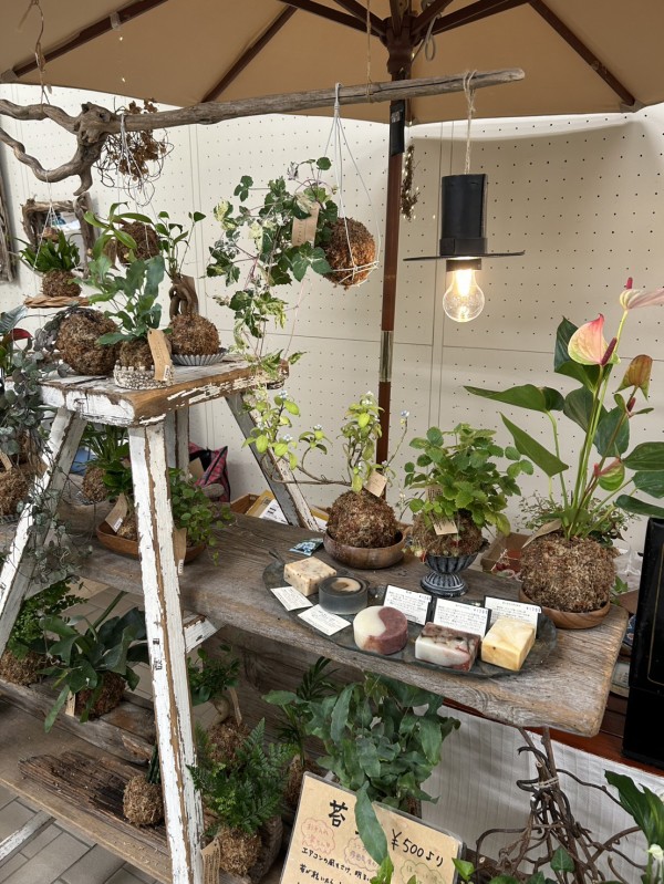タツノオトシゴがテーマ。今週末は沼津市民文化センターへ。作家さんと