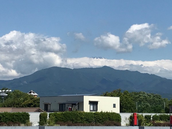 ガチャ ここより多く置いてある場所はある の か 西友沼津店 沼津市大岡 沼津つーしん