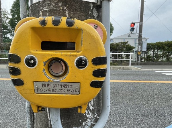 かなおかしょーのところの横断歩道の押しボタンがトラ。 : 沼津つーしん