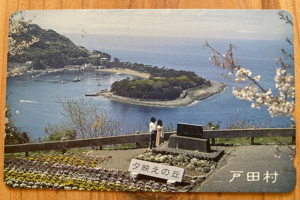 ビフォー・アフターがすごすぎる。夕映えの丘、よみがえる！（沼津市