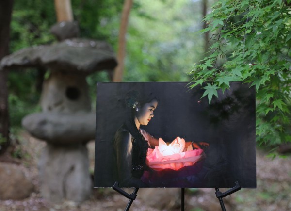 5 7 5 9 開催 素顔のミャンマー写真展 Pray For Myanmar 大中寺庭園 沼津つーしん