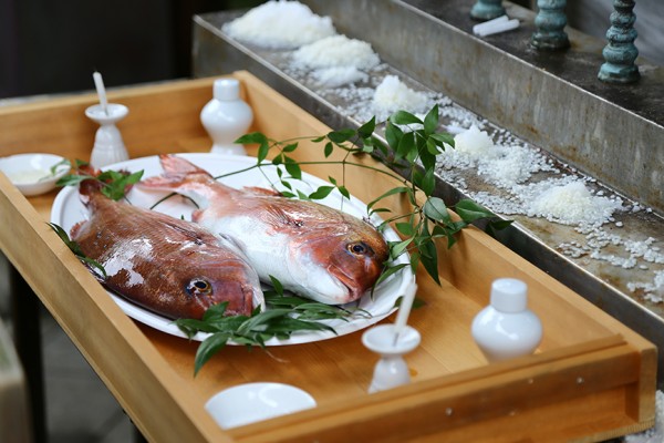 見た目はカオス、中身はガチ。4月4日は沼津の春を代表する催しのひとつ