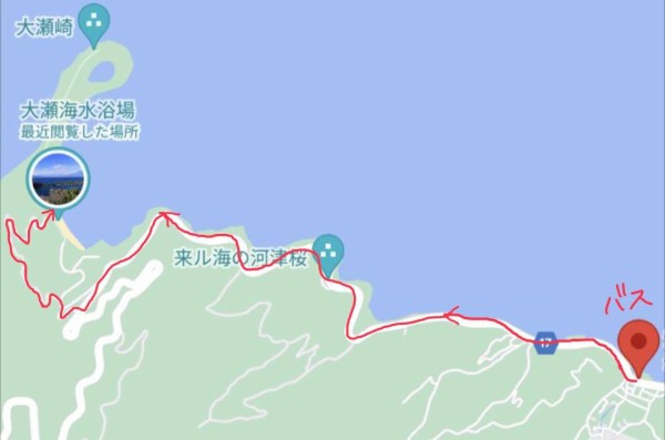 沼津の南をお散歩したら、大自然を感じる大冒険ができちゃった。（沼津