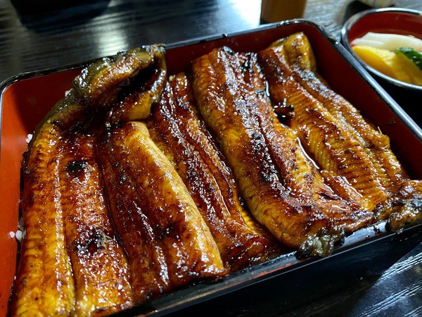 うなぎぬ うなぎぬ うなぎぬ うなぎぬ やなぎページ やなぎ ZX｜製品