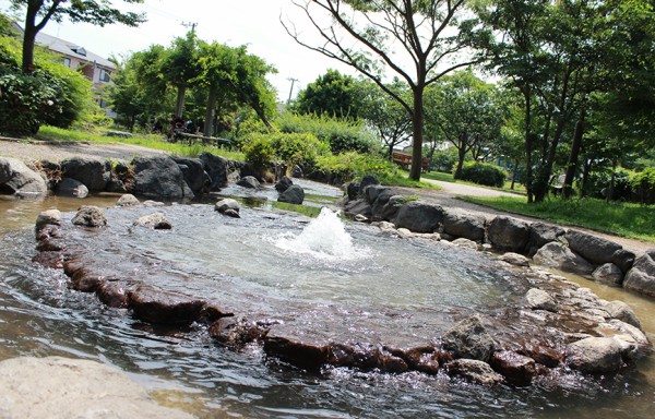 ひゃっこい！湧水（71）】せせらぎ公園（宮原公園）（沼津市玉江町） : 沼津つーしん