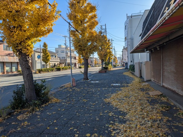 沼津のまちで彩りを探してきました。 : 沼津つーしん