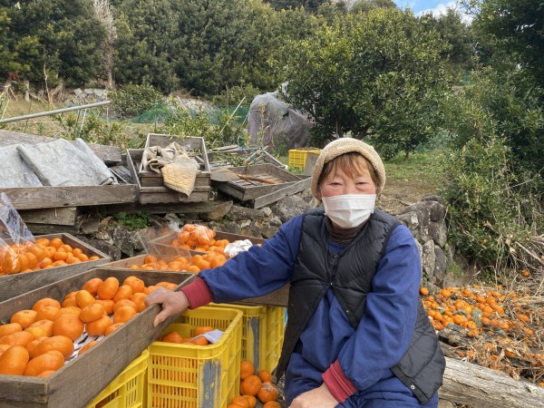 もう20年やってます！老舗無人販売所は、実はリピーター続出の人気店