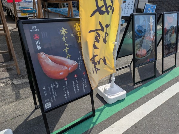 中古 美品 賢斉 OPBS MEMORIAL 沼津海老 沼津港周辺をお散歩しました。すっかり春です。 : 沼津つーしん