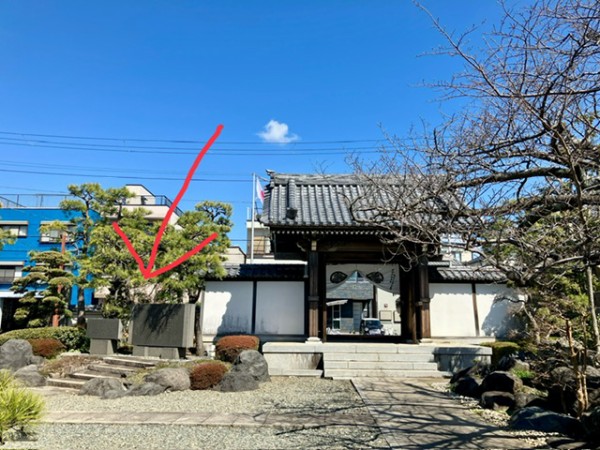 文学散歩】沼津市ゆかりの作家、井上靖の青春時代に触れられる