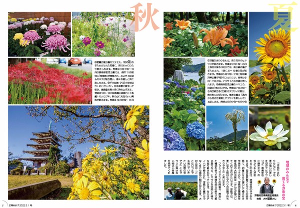 アジサイがキレイな江浦の照江寺で期間限定特別御朱印！5月20日から