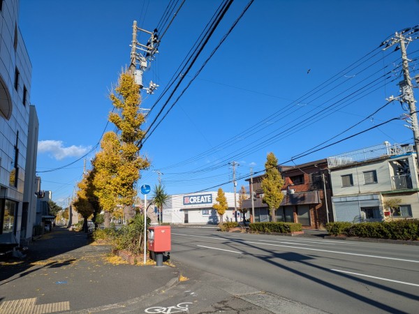 沼津のまちで彩りを探してきました。 : 沼津つーしん