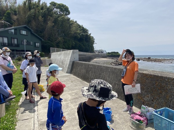 沼津市西浦平沢 ユニークな磯の生き物との出会いに 子供も大人も目がキラキラしてた 沼津つーしん