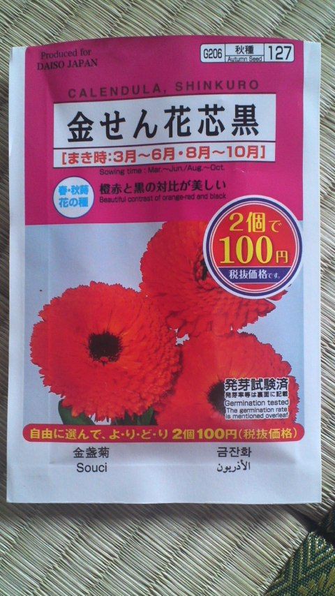 春に咲く花の種まき第一弾 その２ キンセンカ 訪問看護ステーションりぼん