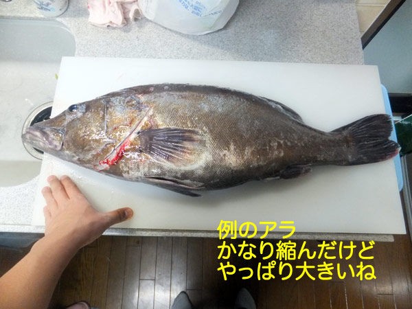 アラを食す ヌッシー疑似餌同好会 アラを食す ヌッシー疑似餌同好会