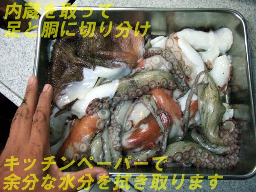 干しダコ作ってみました ヌッシー疑似餌同好会