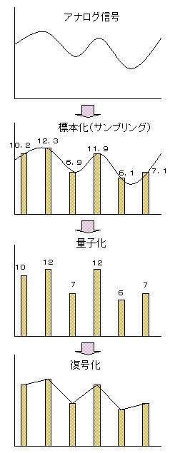 符号化 Network For You