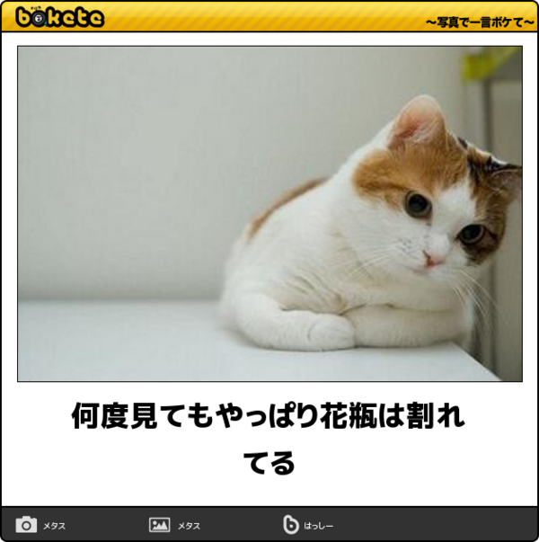 俺氏 割れゲーム配布サイトの釣り見て爆笑 哲学ニュースnwk