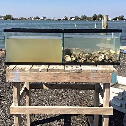 最近知ってびっくりしたこと 浦島 太郎じゃなく浦 島太郎だった 哲学ニュースnwk