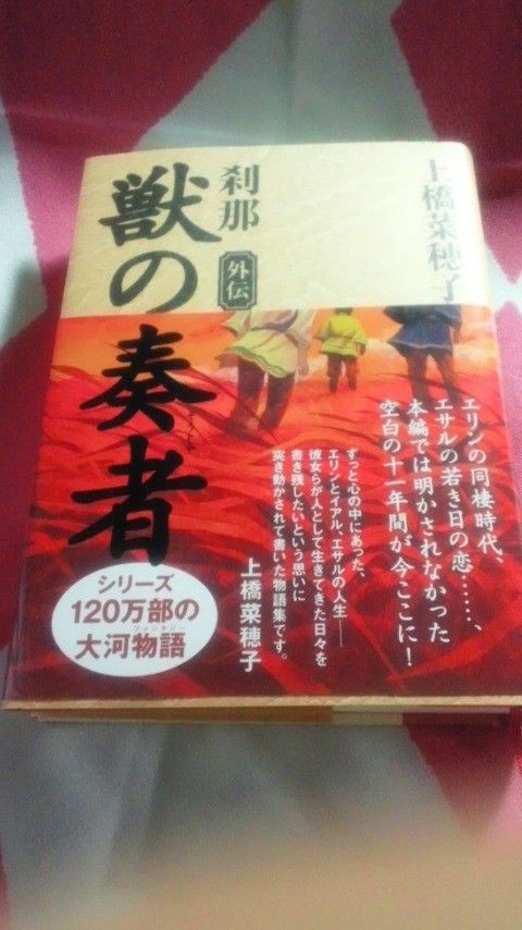 獣の奏者 外伝 にゃんこ日記