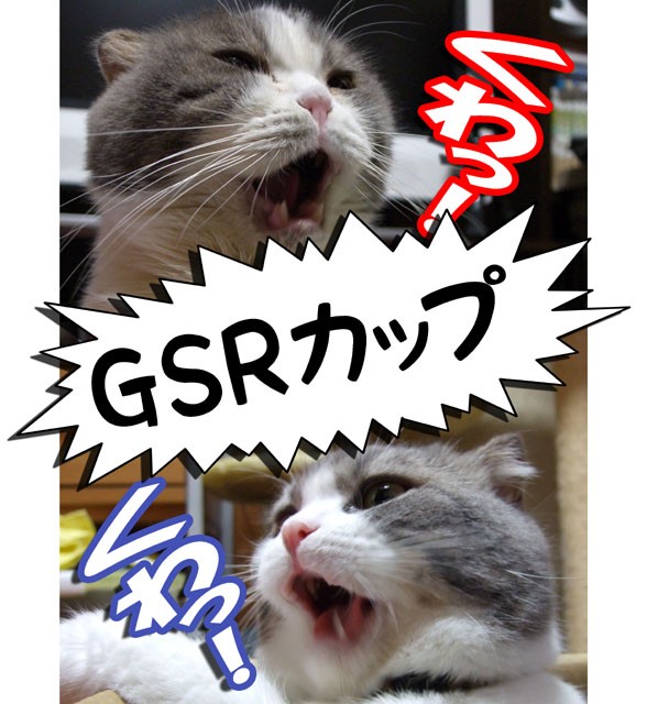 第3回gsrカップ 猫バカとバカ猫