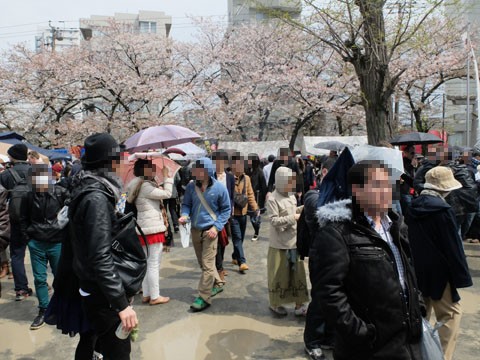 閲覧注意な奇祭 猫バカとバカ猫