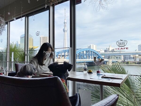 浅草 Dog Dept Cafe 浅草 隅田川テラス店でランチと隅田川散歩 オーチャンネル
