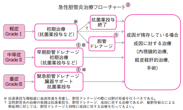 急性 胆嚢 炎 症状