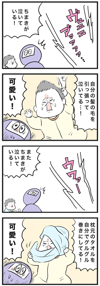 誰がちまきをいじめているのか おばバカ日誌 Powered By ライブドアブログ