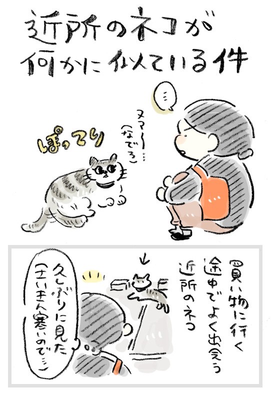 日常まんが 近所の猫がなにかに似ている件 おづまりこの ゆるり より道ひとり暮らし 旧 おひとりさまのあったか1ヶ月食費2万円生活