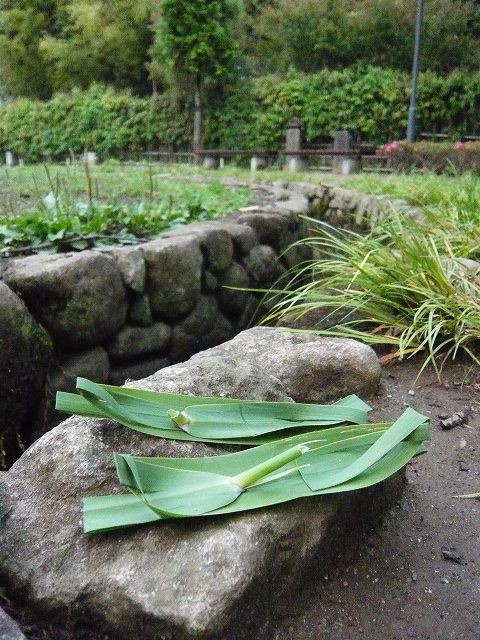 ささ舟づくり 温泉人 おふろうど ライフ