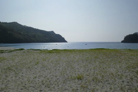 小港海岸のライブカメラ 小笠原父島 オガツアーのブログ３