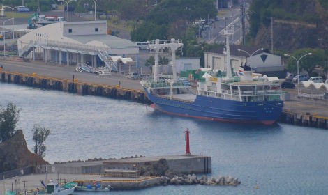 伊豆諸島開発 ゆり丸入港 小笠原父島 オガツアーのブログ３