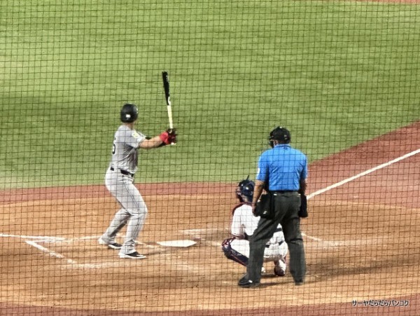 ☆送料込♪☆神宮球場☆4/23（火）～25（木）　巨人戦！　内野ペア引換券☆ 巨人ファンの集い！～９／２３セ・公式戦２０２４！阪神対巨人！「２５回戦」～甲子園球場！～新風生配信！