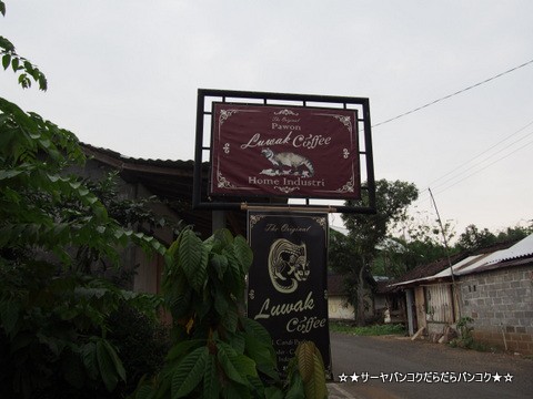 ボロブドゥール遺跡】 その4 Pawon Civet Coffee コピ・ルアク（ルアックコーヒー） : サーヤのバンコクだらだら日記 Powered  by ライブドアブログ