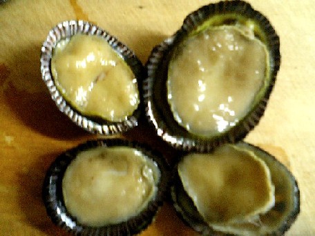 マツバガイを食べる 天然食材探しへ近くに気軽に出かけよう