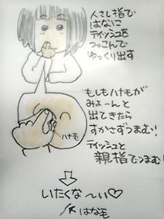 鼻毛の抜き方 ふうちゃん日記