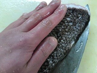 コブダイ おろし方 さばき方 三枚おろし 簡単 魚の美味しいさばき方