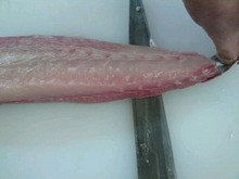 皮の引き方 カンパチ 内引き 簡単 魚の美味しいさばき方