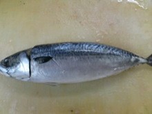 塩鯖 しおさば おろし方 三枚おろし 簡単 魚の美味しいさばき方