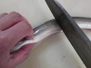 活け鱧 ぬめり 取り方 簡単 魚の美味しいさばき方