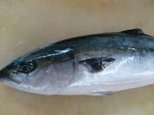 ハマチのおろし方 さばき方 三枚おろし 簡単 魚の美味しいさばき方