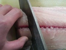サワラ さごし の切り方 簡単 魚の美味しいさばき方 サワラ さごし の切り方 簡単 魚の美味しいさばき方