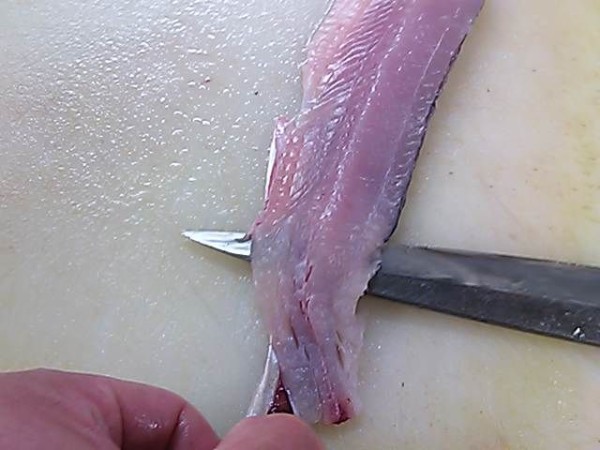 トビウオ 皮 引き方 簡単 魚の美味しいさばき方