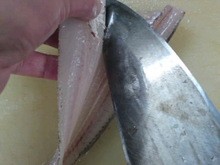 鱚 きす のおろし方 さばき方 三枚おろし 簡単 魚の美味しいさばき方