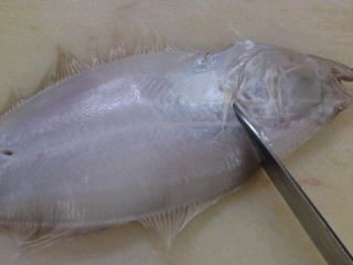 カレイ 干物 切り方 簡単 魚の美味しいさばき方