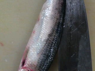 鰊 ニシン のさばき方 塩焼き 照り焼き 簡単 魚の美味しいさばき方 鰊 ニシン のさばき方 塩焼き 照り焼き 簡単 魚の美味しいさばき方