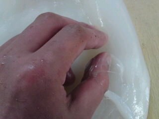 アオリイカの皮の剥き方 刺身 簡単 魚の美味しいさばき方