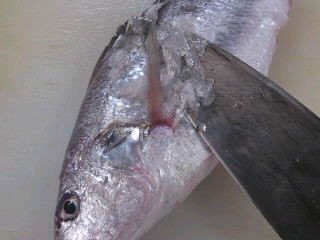 シログチ イシモチ さばき方 三枚おろし 簡単 魚の美味しいさばき方